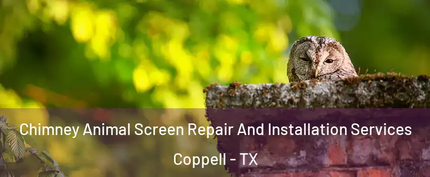  Chimney Animal Screen Repair And Installation Services Coppell - TX