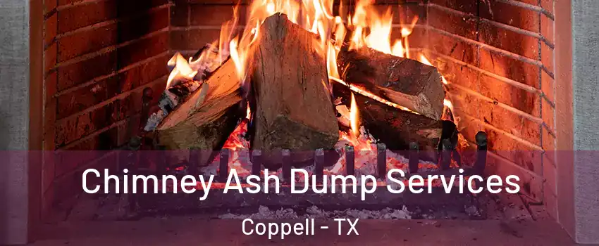  Chimney Ash Dump Services Coppell - TX