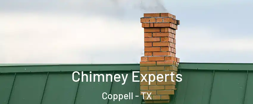 Chimney Experts Coppell - TX