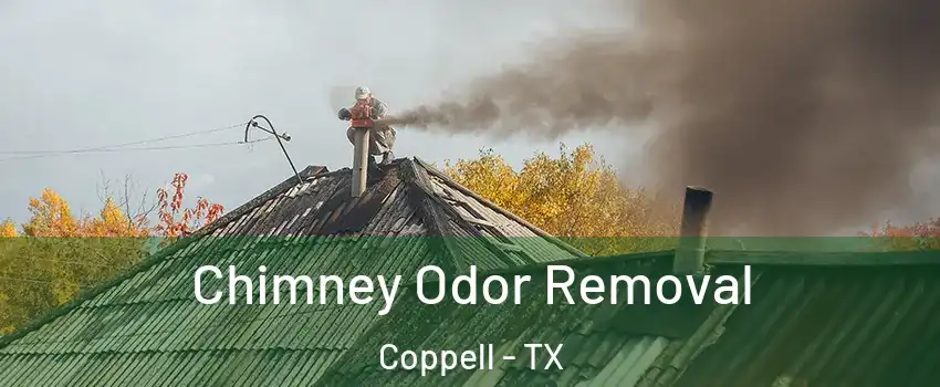  Chimney Odor Removal Coppell - TX