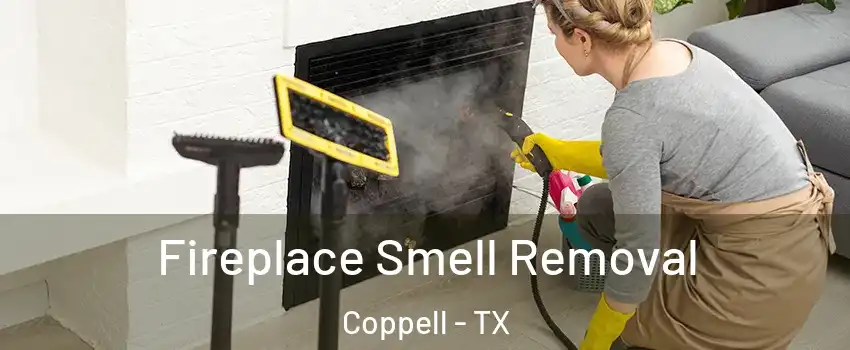  Fireplace Smell Removal Coppell - TX