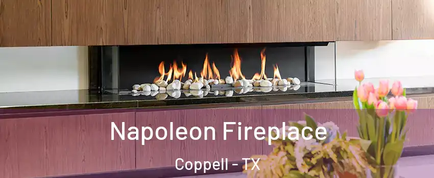  Napoleon Fireplace Coppell - TX